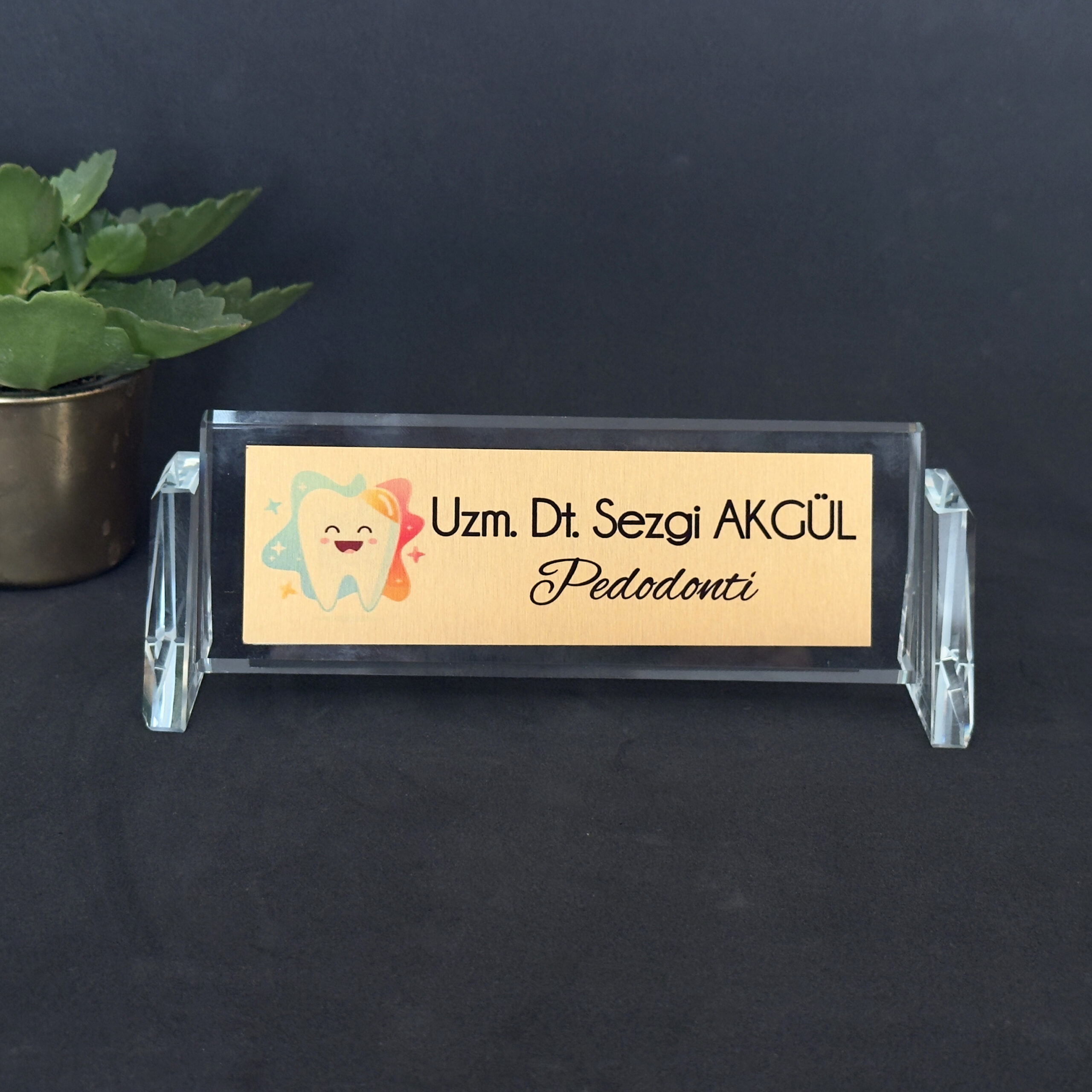Desk Name Plate